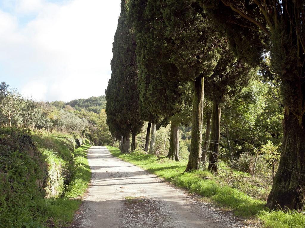 Belvilla By Oyo Le Olive * Vaglia (Tuscany)